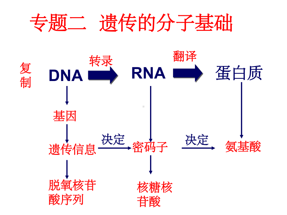 人教版教学课件必修2专题二遗传的分子基础.ppt_第2页