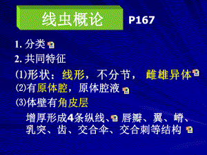 本7线虫概论、蛔虫、鞭虫课件讲义.ppt