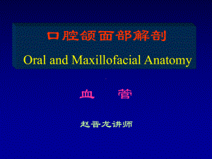 口腔颌面部解剖OralandMaxillofacialAnatomy课件.ppt