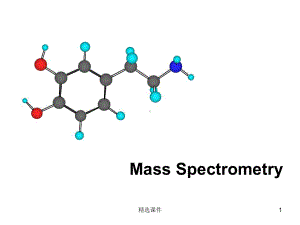 仪器分析—质谱-11课件.ppt