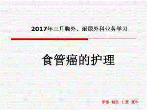 胸外泌尿科护理工作总结课件.pptx