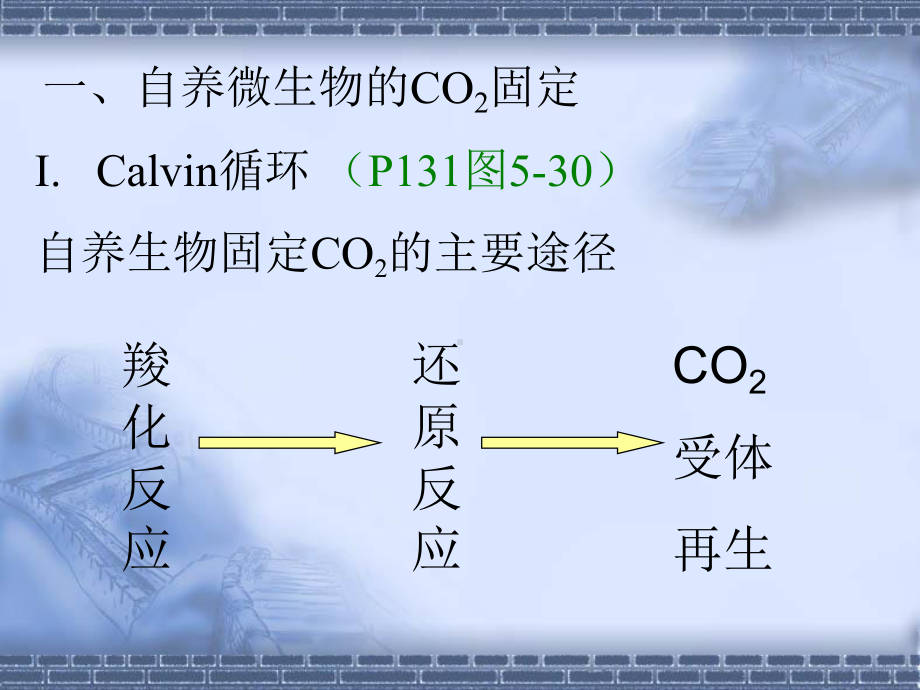 第五章微生物的代谢34课件.ppt_第3页