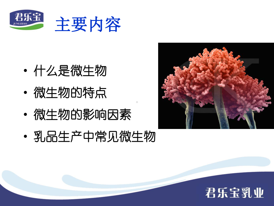 微生物知识培训2007课件.ppt_第3页