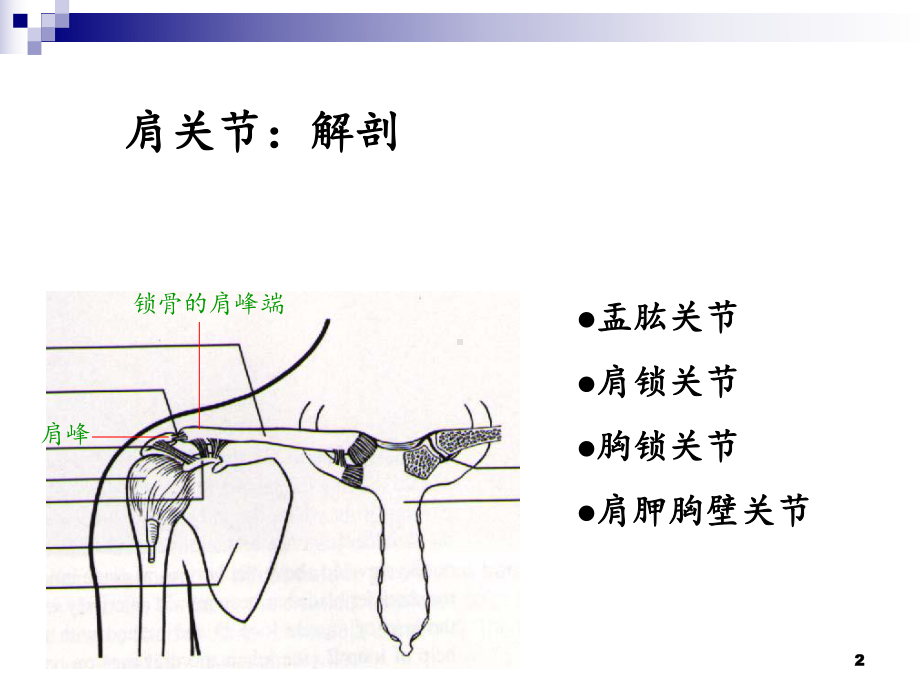 五大关节松动术-课件.ppt_第2页