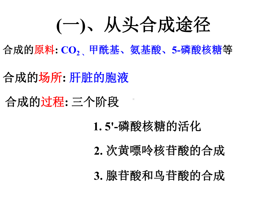 核酸代谢与生物氧化课件.ppt_第3页