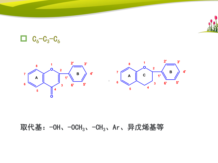 天然药物化学第五章黄酮类化合物1课件.ppt_第3页