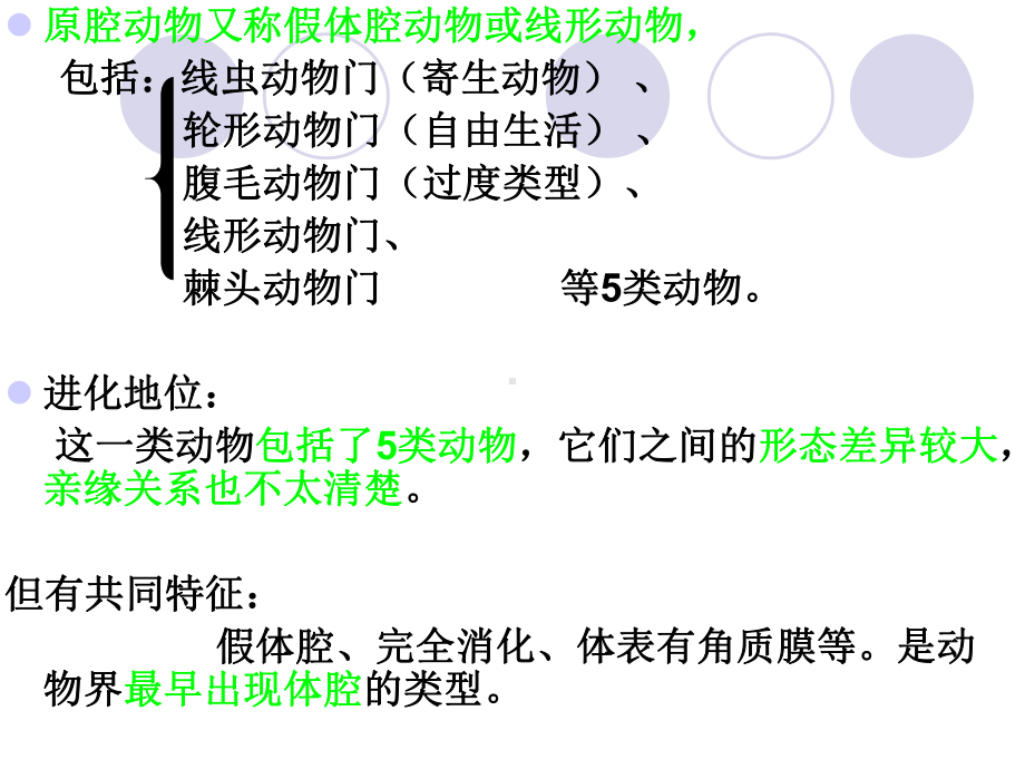 原腔动物Protocoelomata假体腔线形动物课件.ppt_第2页