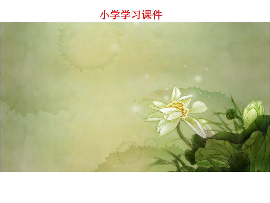 幼儿园的管理结构课件.ppt_第1页