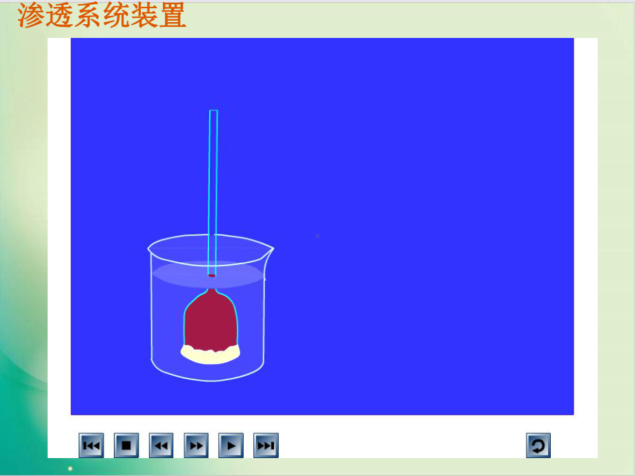 人教版《物质跨膜运输的实例-》课件11.ppt_第3页