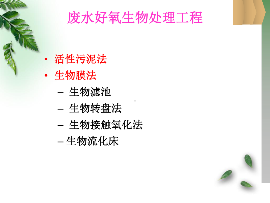 活性污泥膨胀时课件.ppt_第1页