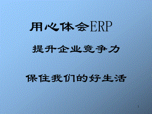 杨宝刚教授的ERP培训课件.ppt