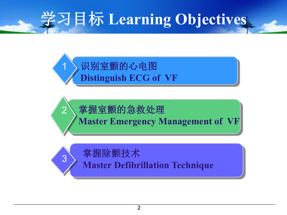 室颤与急救课件.ppt_第2页