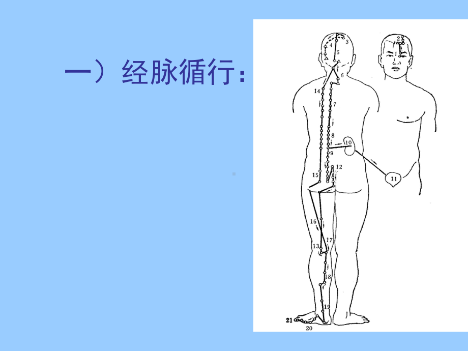 足太阳膀胱经1课件讲义.ppt_第3页