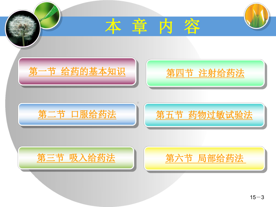 第15章药物疗法1课件.ppt_第3页