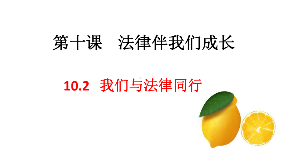 人教版道德与法治七年级下册我们与法律同行课件5.ppt_第1页