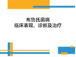 布病临床表现、诊断及治疗教学课件.ppt