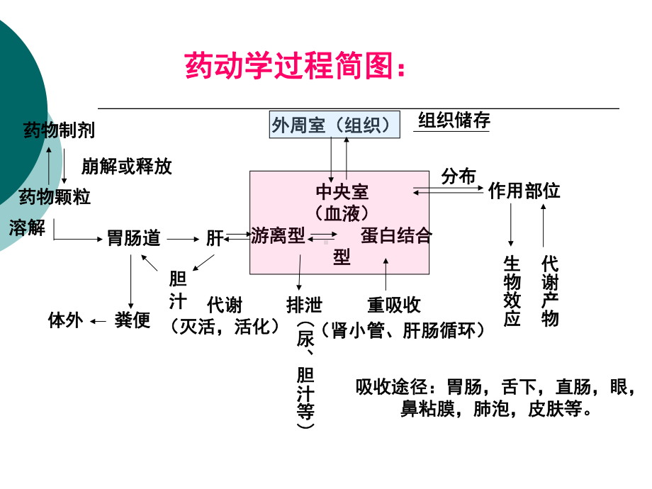 第1章2药理学总论之药物代谢动力学课件.ppt_第2页