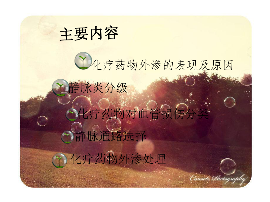 化疗静脉管理要点课件.ppt_第2页