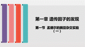 人教版新教材《孟德尔的豌豆杂交实验(一)》教学课件2.pptx