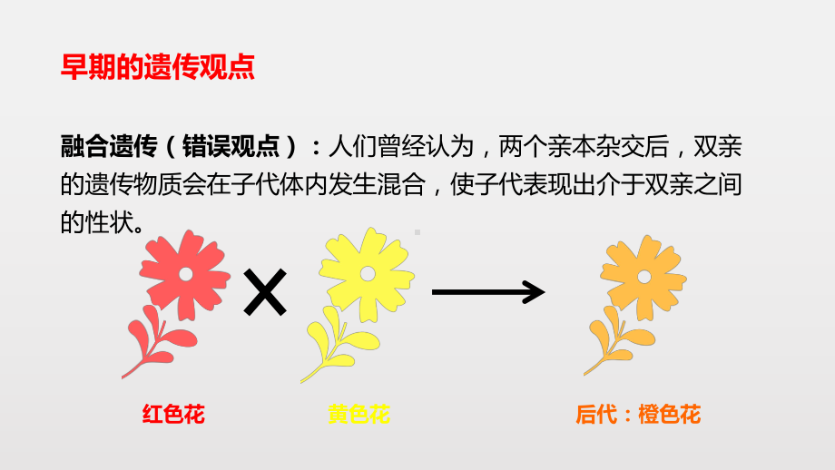 人教版新教材《孟德尔的豌豆杂交实验(一)》教学课件2.pptx_第2页