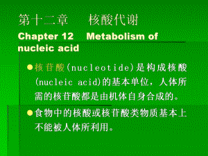 十二章 核酸代谢课件.ppt