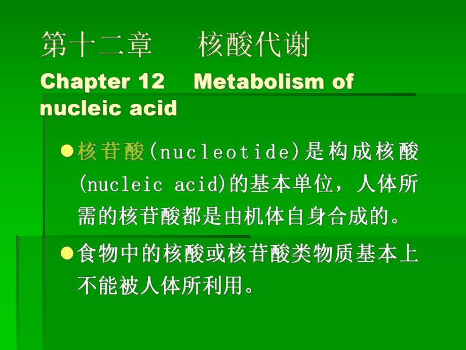 十二章 核酸代谢课件.ppt_第1页