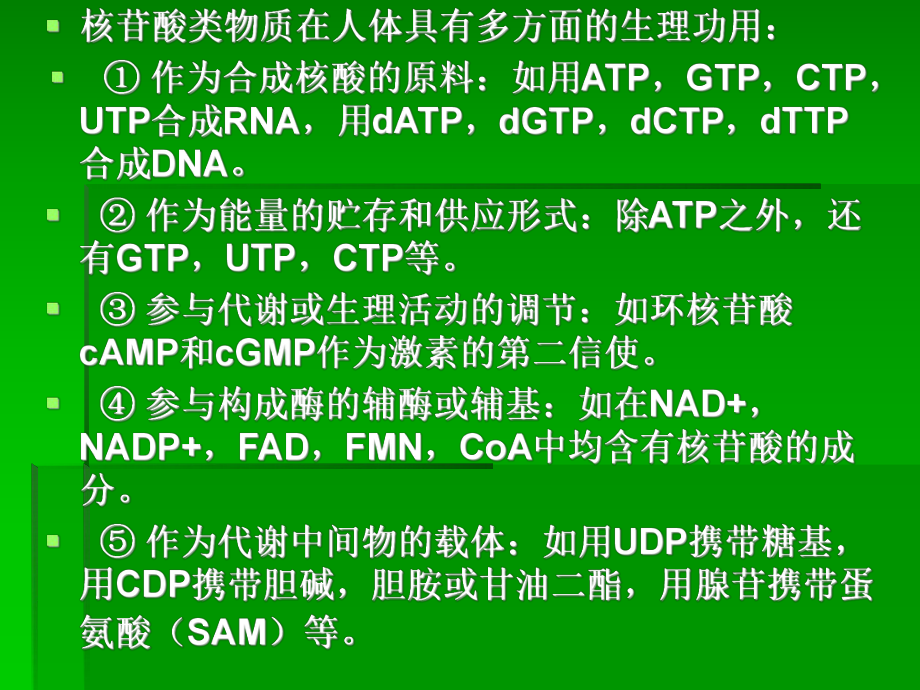 十二章 核酸代谢课件.ppt_第2页