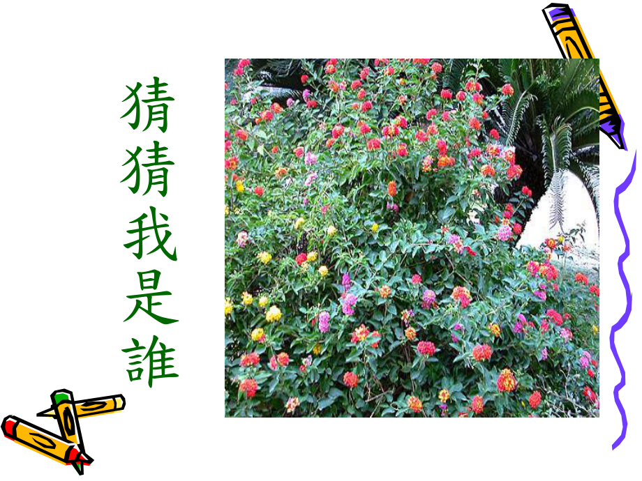 植物的自白书课件.ppt_第2页