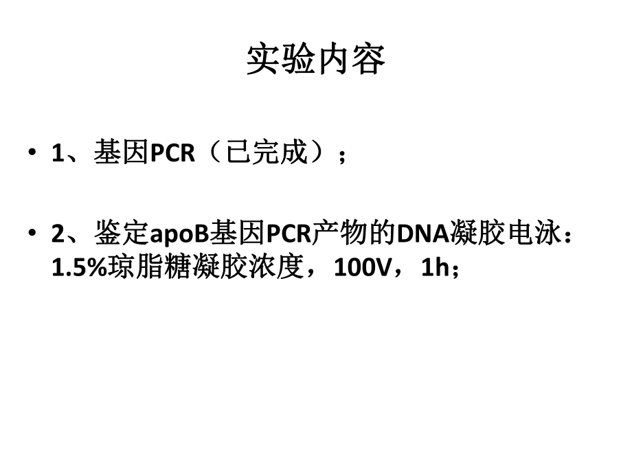 生化年研究生实验2 PCR检测apoB基因多态性课件.ppt_第2页