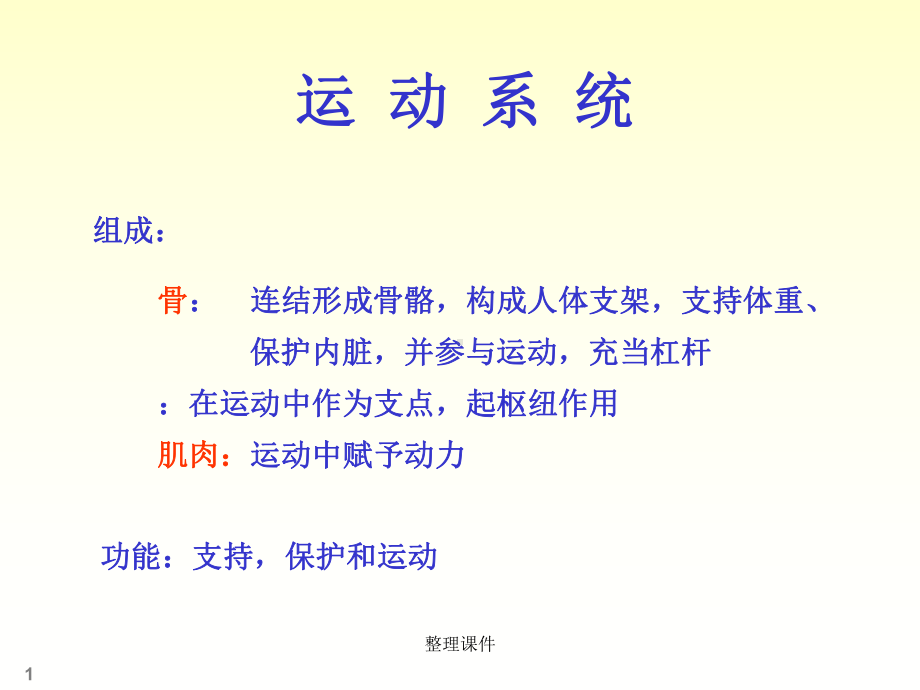 人体解剖学骨学课件.ppt_第1页