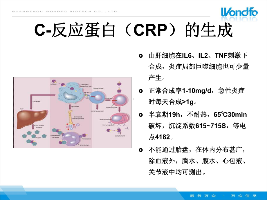 国赛超敏全血CRP临床应用讲课课件.ppt_第2页