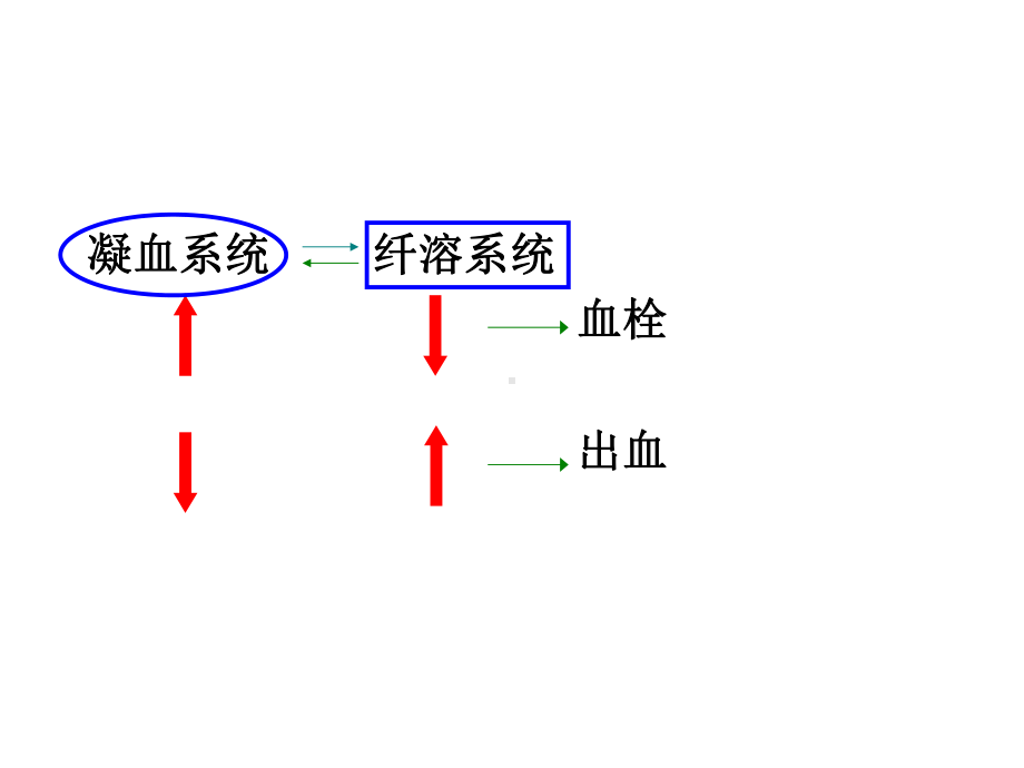 第28章作用于血液及造血器官的药物课件.ppt_第2页