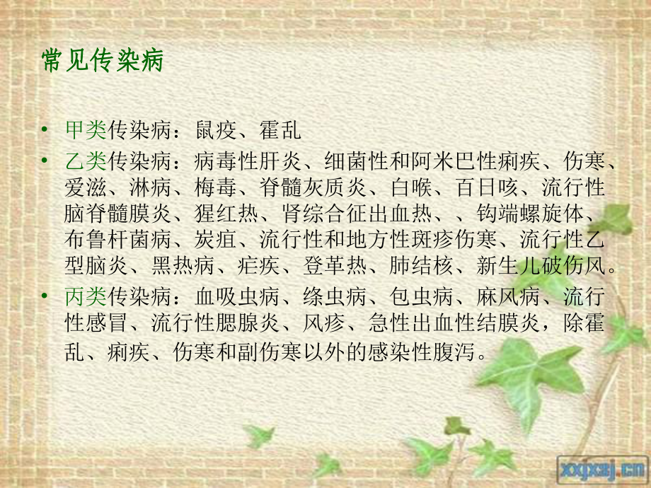 生物技术与疾病诊断课件.ppt_第2页