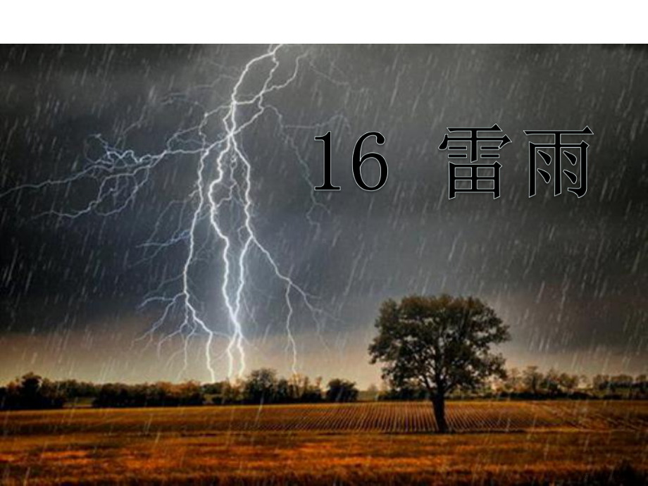 二年级下册语文课件16《雷雨》人教部编版.pptx_第1页