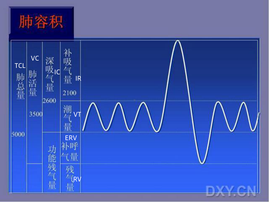 肺功能基础知识课件.ppt_第3页