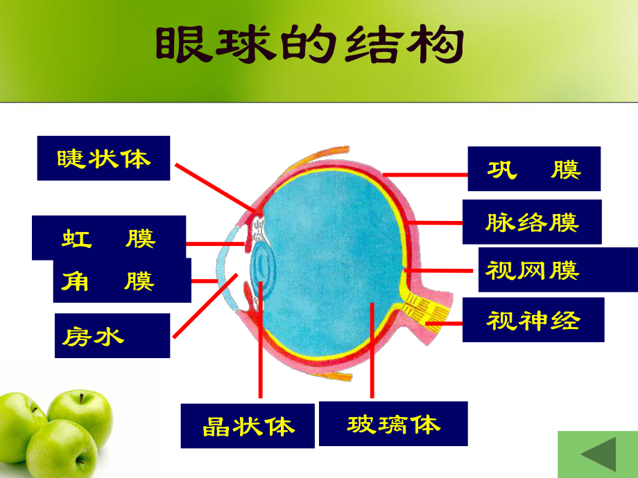 朝阳家长学校2(206年4月)课件.ppt_第3页