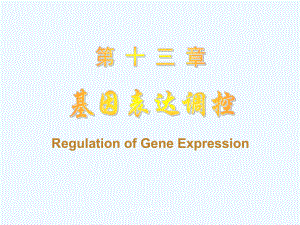 分子生物学原理基因表达调控课件.ppt