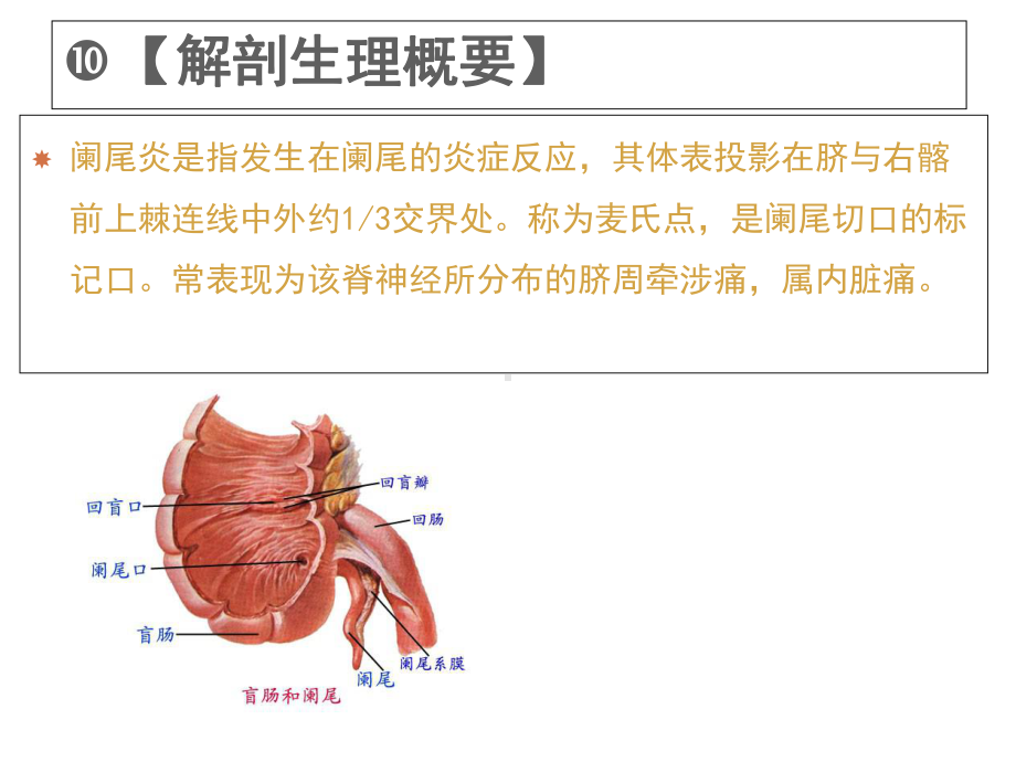 急性阑尾炎患者的护理课件讲义讲义.ppt_第2页