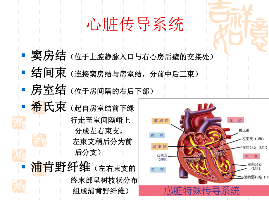 心脏传导阻滞与麻醉处理(王明德)课件.ppt_第2页