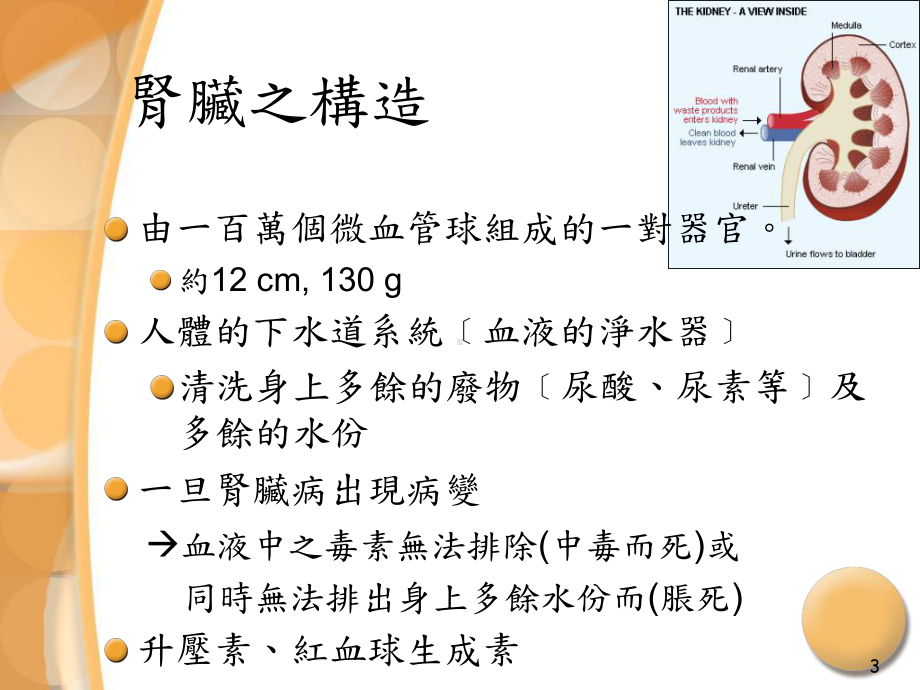 肾脏病之防治课件.ppt_第3页