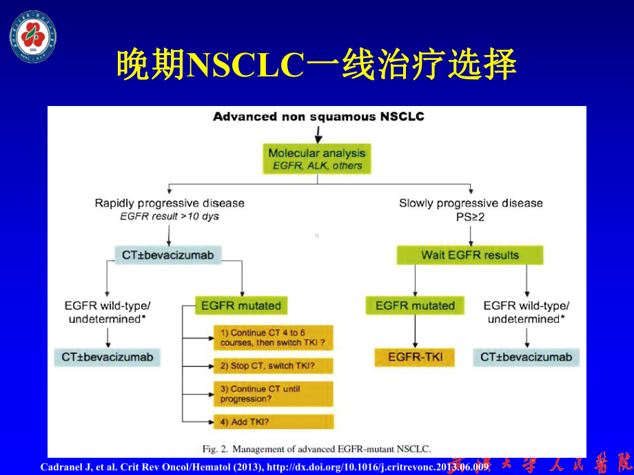 对TKI耐药的EGFR突变NSCLC治疗课件.ppt_第3页