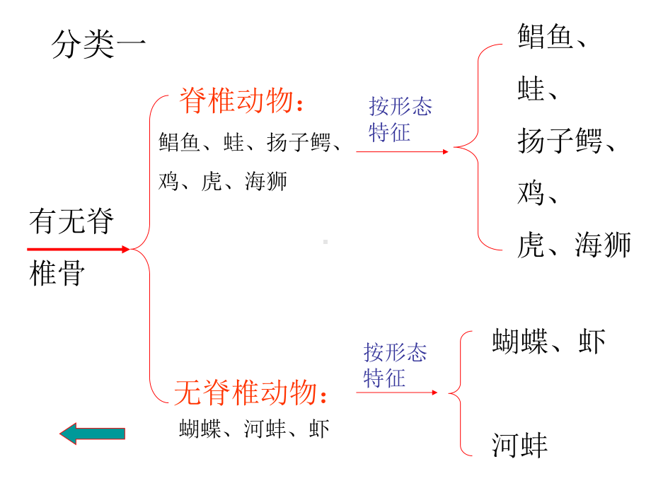 浙教版科学七上《常见的动物》(第3课时)课件.ppt_第2页