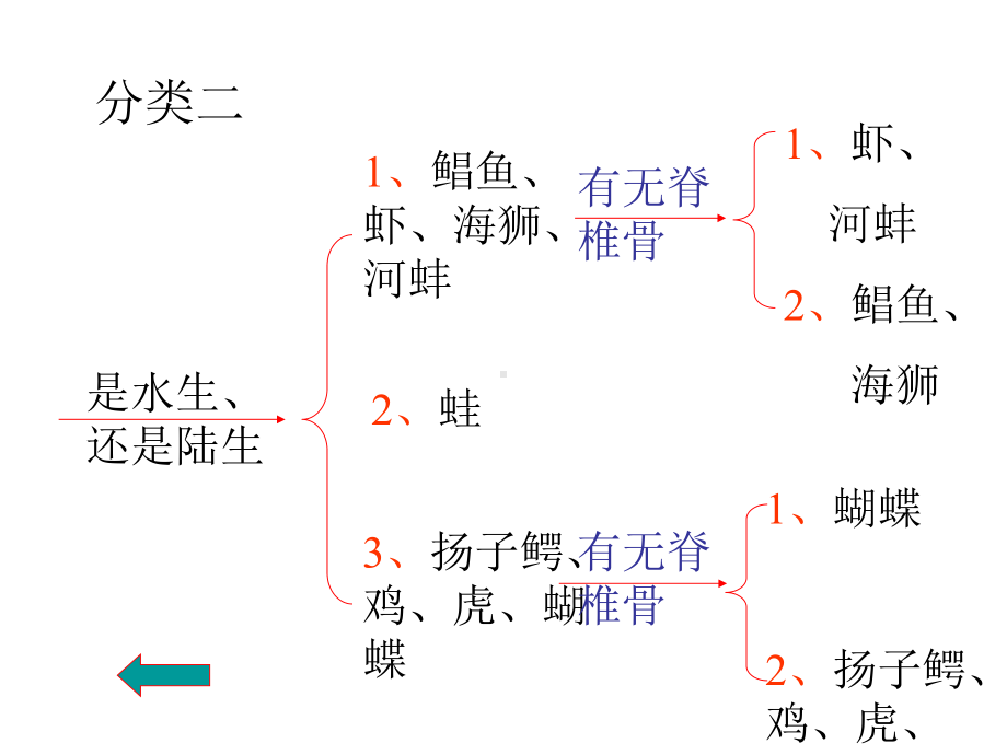 浙教版科学七上《常见的动物》(第3课时)课件.ppt_第3页