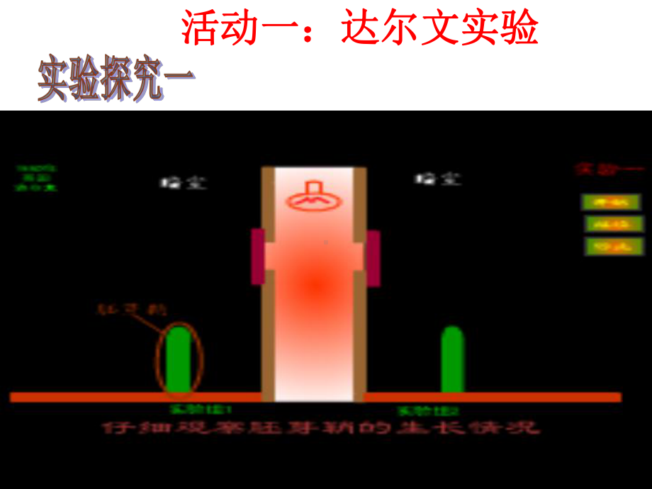 第1节植物生长素的发现课件.ppt_第3页