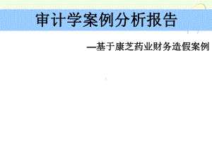 审计案例分析报告课件讲义.ppt