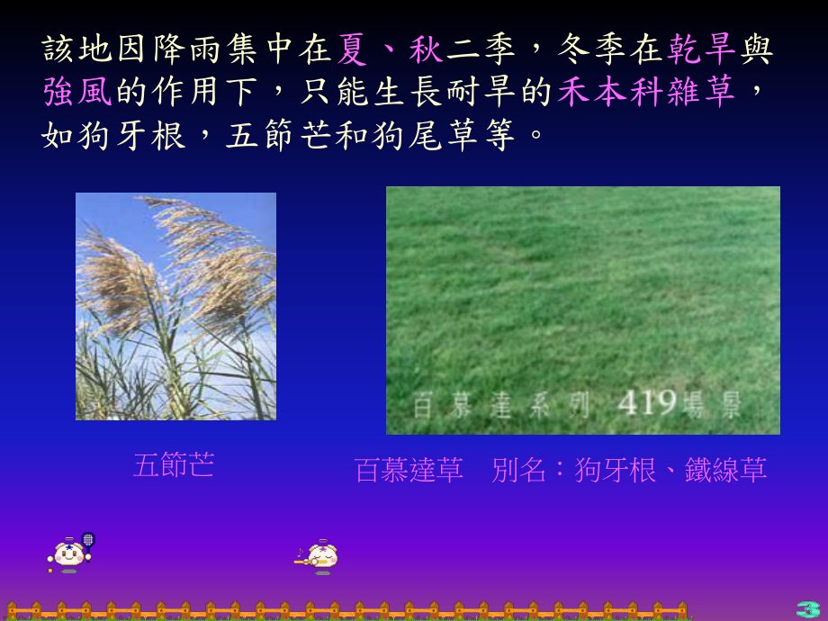 台湾草原及砂丘生态系课件.ppt_第3页