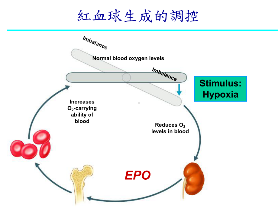 血液透析之慢性并发症课件整理.ppt_第3页