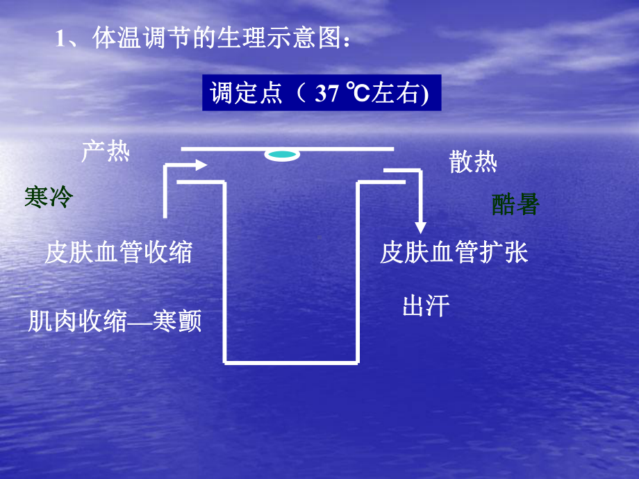 第18章解热镇痛抗炎药课件讲义.ppt_第3页