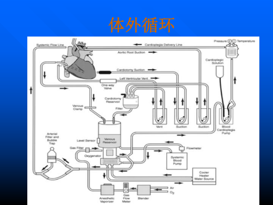 心脏疾病(第7版)课件.ppt_第3页