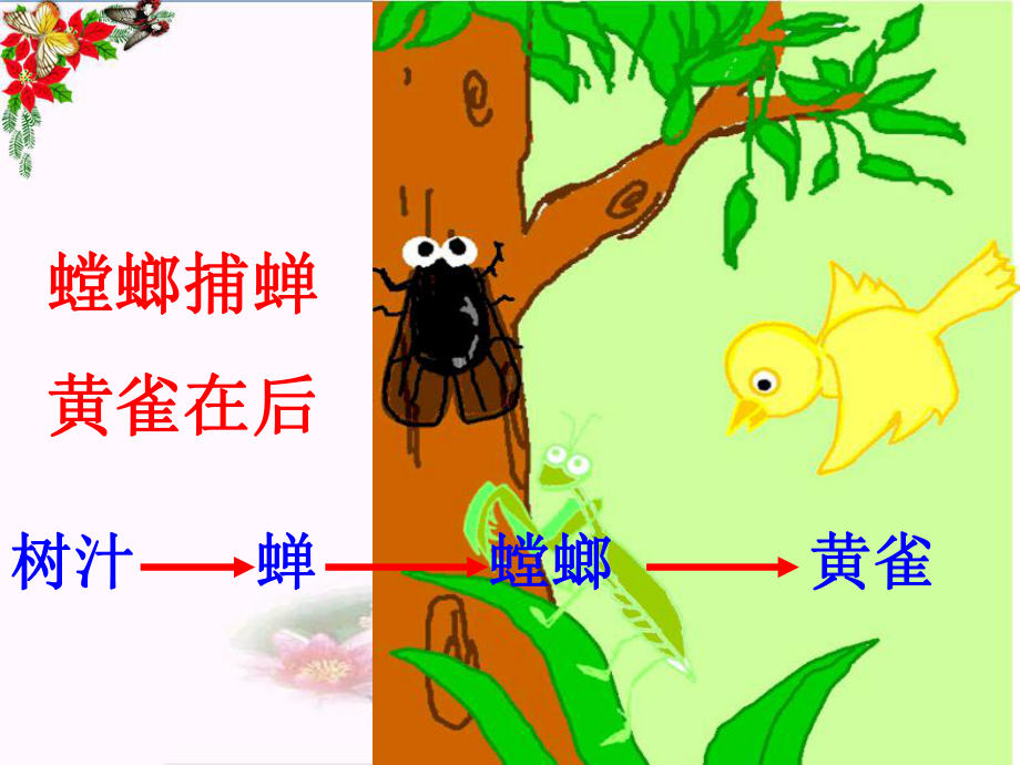 六年级科学上册密切联系的生物界课件12青岛版.ppt_第2页